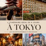 Vue panoramique de Tokyo avec ses gratte-ciels et temples traditionnels, parfait pour un voyage mémorable.