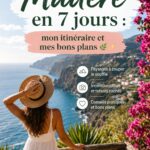 Paysage verdoyant de Madère avec montagnes et océan en arrière-plan.