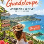 Plage de sable blanc en Guadeloupe avec palmiers et mer bleu turquoise