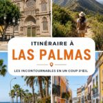 Vue panoramique de Las Palmas avec ses plages et ses montagnes