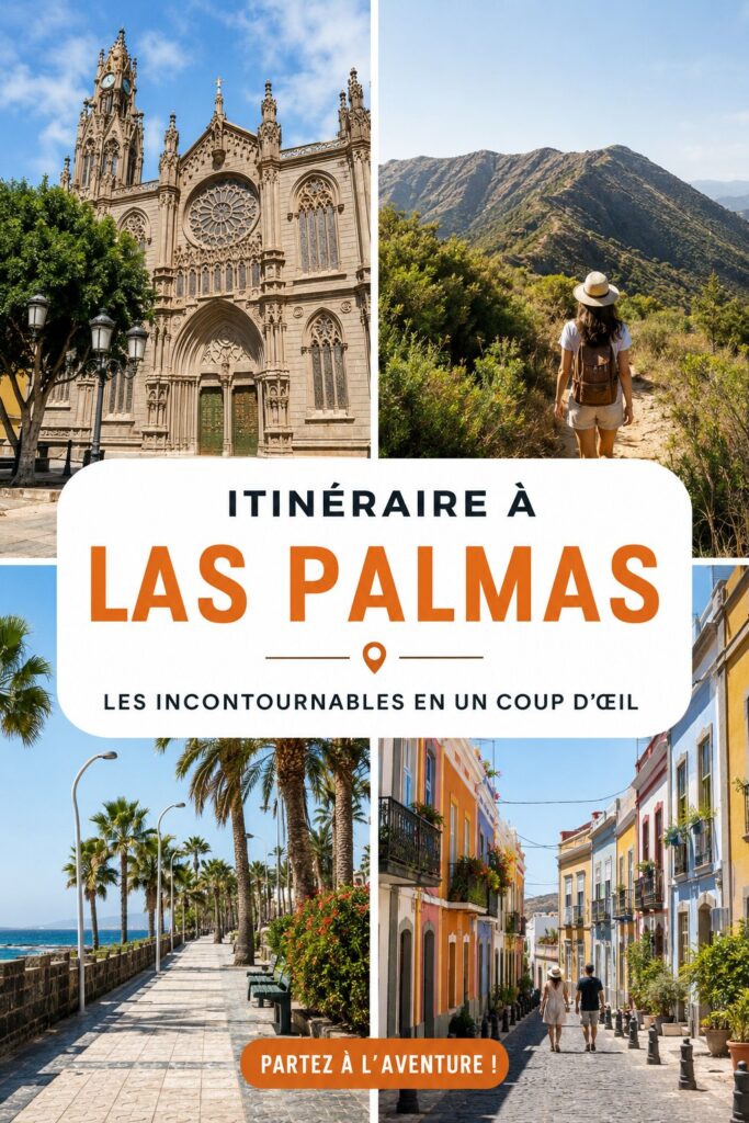Vue panoramique de Las Palmas avec ses plages et ses montagnes