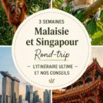 Itinéraire coloré pour un voyage en Malaisie et Singapour, incluant des paysages et des monuments emblématiques.
