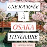 Vue du château d'Osaka entouré de cerisiers en fleurs