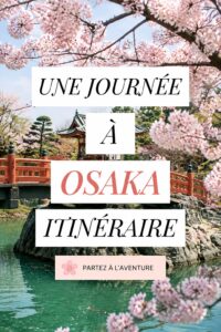 Vue du château d'Osaka entouré de cerisiers en fleurs