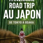 Vue panoramique d'une route au Japon reliant Tokyo à Osaka.