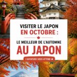Paysages d'automne au Japon avec des feuillages colorés