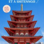 Vue panoramique du château d'Osaka avec ses douves et jardins
