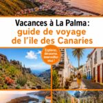 Un paysage pittoresque de La Palma avec des montagnes verdoyantes et l'océan en arrière-plan.
