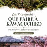 Vue apaisante sur le lac Kawaguchi avec le Mont Fuji en arrière-plan