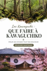 Vue apaisante sur le lac Kawaguchi avec le Mont Fuji en arrière-plan