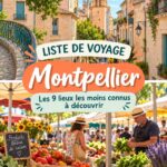 Vue d'un jardin secret à Montpellier avec des fleurs colorées.