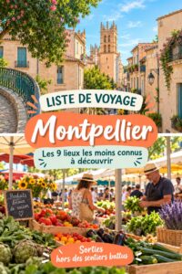 Vue d'un jardin secret à Montpellier avec des fleurs colorées.