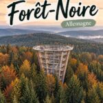 Paysage naturel de la Forêt Noire avec des arbres et des collines verdoyantes.