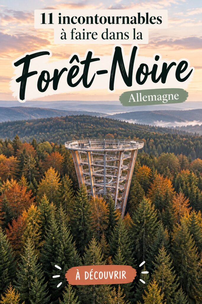 Paysage naturel de la Forêt Noire avec des arbres et des collines verdoyantes.