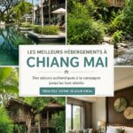 Vue d'un homestay traditionnel à Chiang Mai avec son jardin