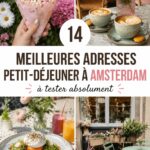 Une table joliment dressée pour un brunch à Amsterdam avec des assiettes colorées et des boissons chaudes.