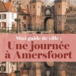 Vue panoramique d'Amersfoort, une ville pittoresque avec ses maisons colorées et ses canaux
