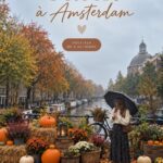 Un paysage automnal d'Amsterdam avec des arbres aux feuilles dorées.
