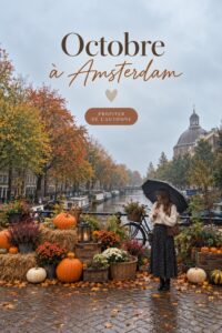 Un paysage automnal d'Amsterdam avec des arbres aux feuilles dorées.