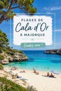 Plage de Cala d'Or avec sable doré et eaux turquoise