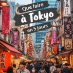 Vue panoramique de Tokyo avec ses gratte-ciel et temples