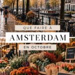 Visite d'Amsterdam en octobre, avec les couleurs de l'automne