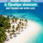 Plage paradisiaque en République Dominicaine avec palmiers et eau turquoise