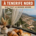 Restaurant avec vue sur la mer à Majorque, offrant un cadre charmant pour dîner.