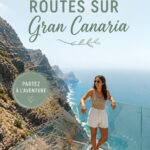 Vue panoramique d'une route sinueuse à Gran Canaria avec des montagnes et des paysages verdoyants.