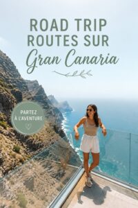 Vue panoramique d'une route sinueuse à Gran Canaria avec des montagnes et des paysages verdoyants.