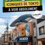 Vue panoramique de l'une des rues emblématiques de Tokyo, pleine de vie et de commerces.