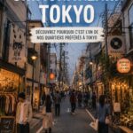 Vue de Shimokitazawa, un quartier animé de Tokyo avec ses boutiques vintage et ses cafés