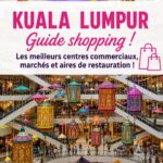 Une vue des célèbres centres commerciaux de Kuala Lumpur, présentant leur architecture moderne et animée.