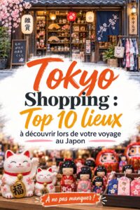 Femme en train de shopper dans un quartier animé de Tokyo, avec des boutiques colorées en arrière-plan.