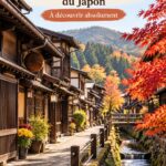 Vue panoramique de Takayama, ville pittoresque entourée de montagnes au Japon.