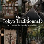 Vue pittoresque des ruelles traditionnelles de Yanaka à Tokyo