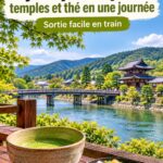 Vue panoramique des temples historiques d'Uji, connue pour ses jardins et sa culture du thé.