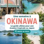 Vue aérienne de la plage d'Okinawa avec ses eaux turquoise, idéale pour les escapades tropicales.