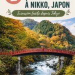Vue panoramique du Sanctuaire Toshogu à Nikko, majestueux et entouré de verdure.