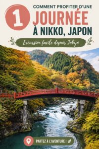 Vue panoramique du Sanctuaire Toshogu à Nikko, majestueux et entouré de verdure.