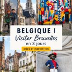 Vue panoramique de Bruxelles avec ses monuments emblématiques sous un ciel ensoleillé.
