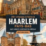 Vue sur la vieille ville de Haarlem avec ses bâtiments historiques.