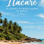 Plage ensoleillée à Itacaré, au Brésil, avec des palmiers