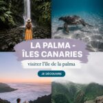 Vue panoramique sur les paysages volcaniques de La Palma, îles Canaries