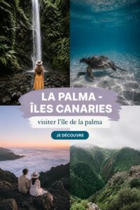 Vue panoramique sur les paysages volcaniques de La Palma, îles Canaries