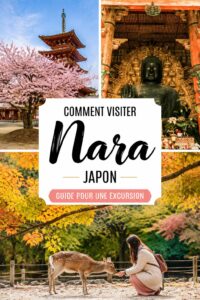 Vue panoramique du parc de Nara avec des cerfs en liberté et des temples en arrière-plan.
