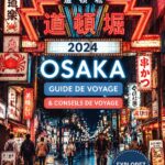 Vue panoramique du château d'Osaka, un incontournable de la ville