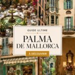 Vue panoramique de Palma de Majorque avec ses bâtiments emblématiques et la mer