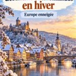 Scène d'un marché de Noël en Allemagne, illuminé et animé
