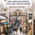 Vue du quartier historique de Yanaka Ginza avec ses boutiques vintage et ses cafés.